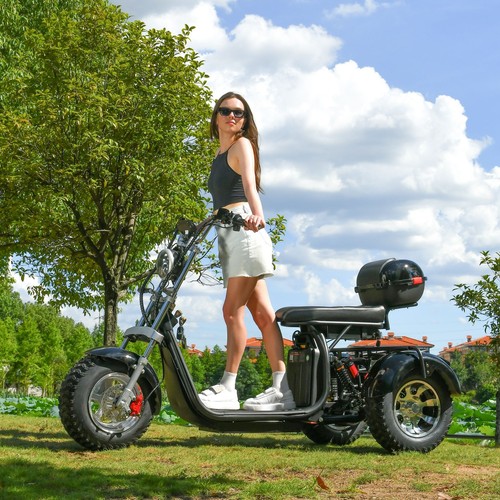 Aldult electric tricycles - aldult,