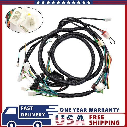 Complete main wiring harness - main,