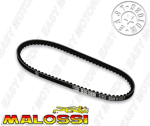 619831 cinghia malossi - 619831,